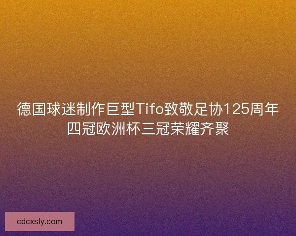 德国球迷制作巨型Tifo致敬足协125周年四冠欧洲杯三冠荣耀齐聚