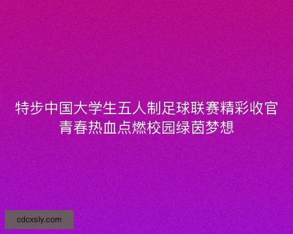 特步中国大学生五人制足球联赛精彩收官青春热血点燃校园绿茵梦想 特步中国大学生五人制足球联赛精彩收官青春热血点燃校园绿茵梦想