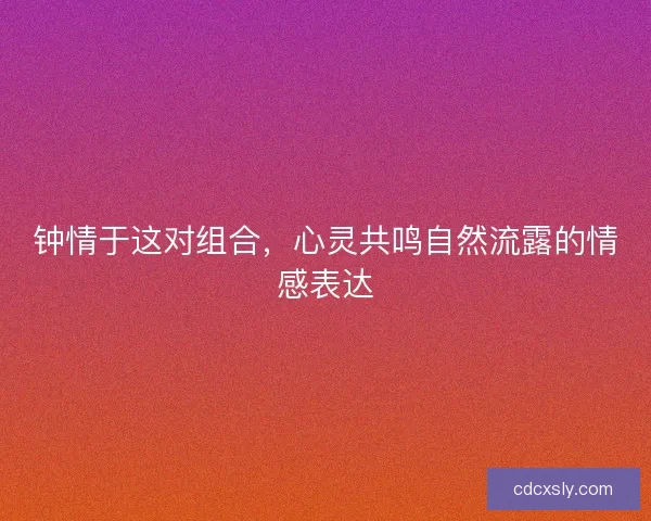 钟情于这对组合，心灵共鸣自然流露的情感表达