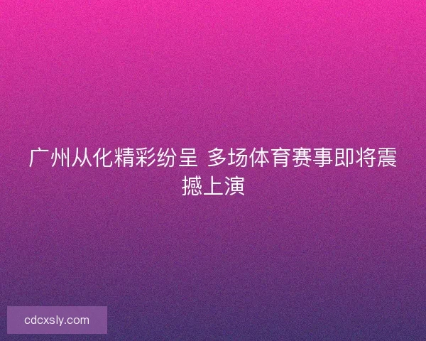 广州从化精彩纷呈 多场体育赛事即将震撼上演